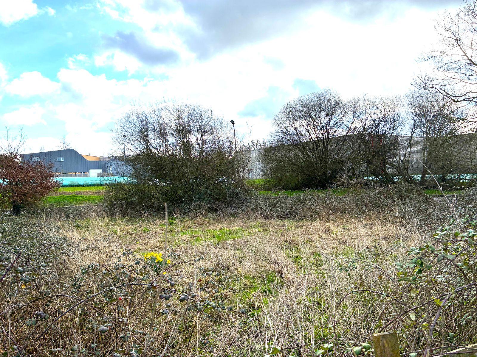 w17655310921739023_1771930438423