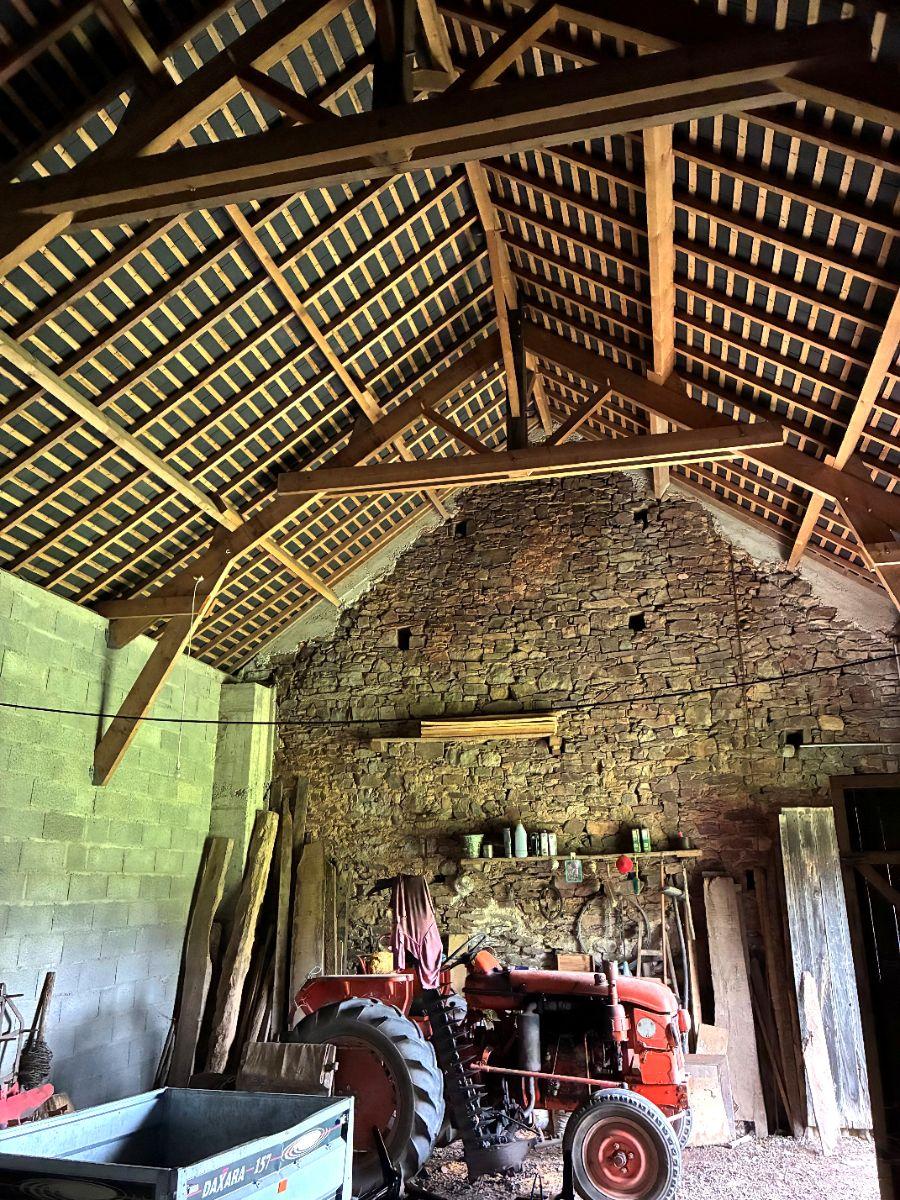 w17708275769167912_1771600132913