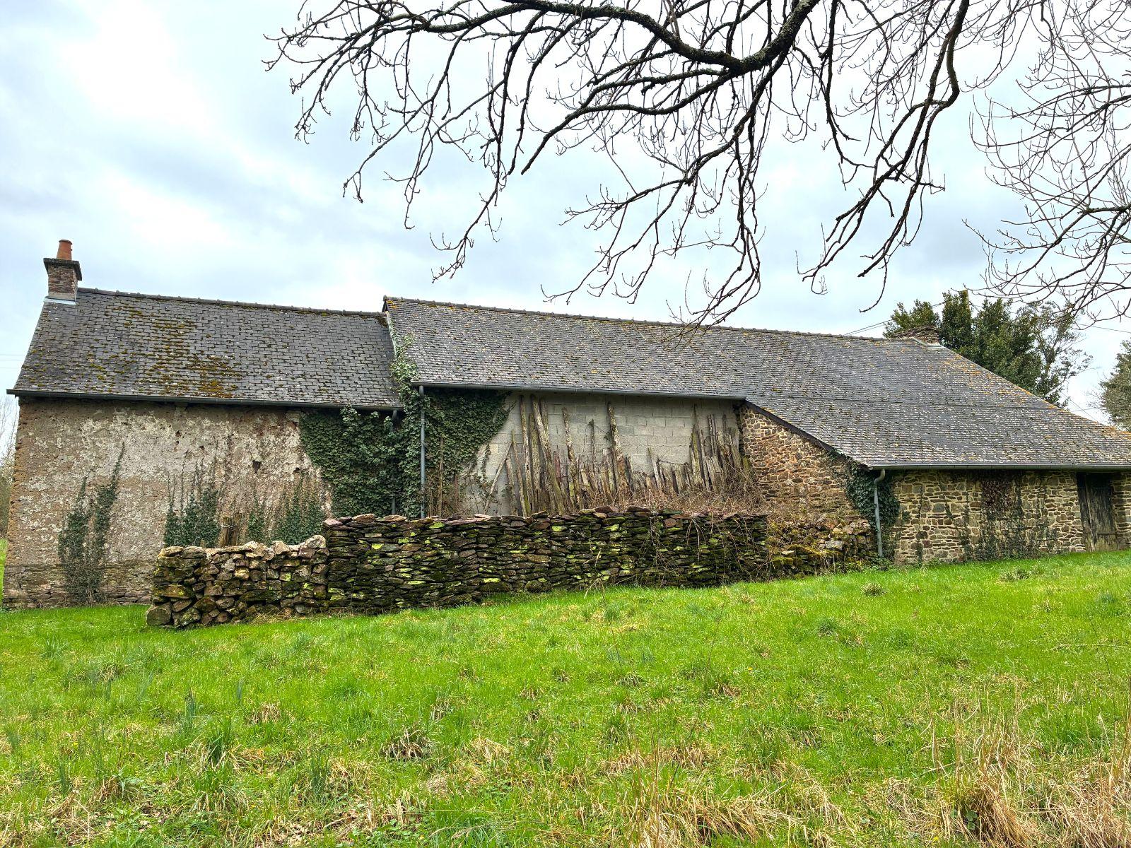 w17708275769167912_1771600133772