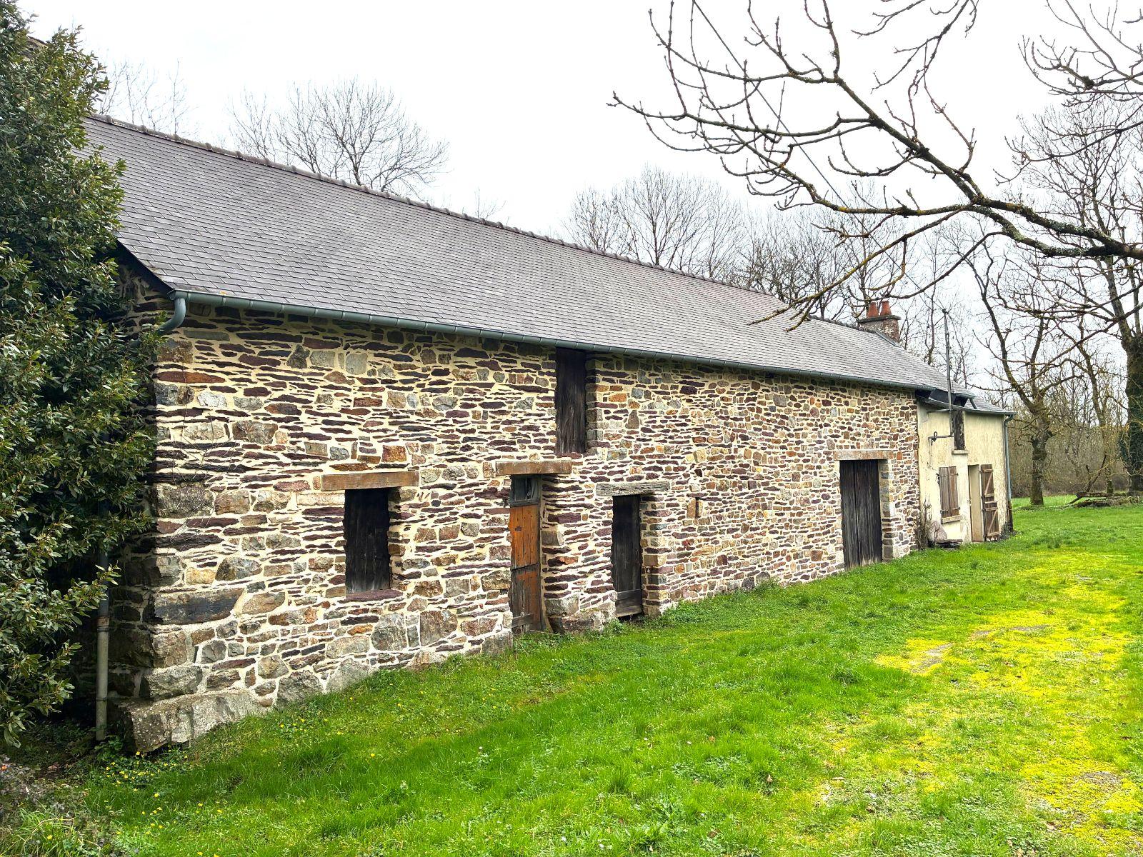 w17708275769167912_1771600134756