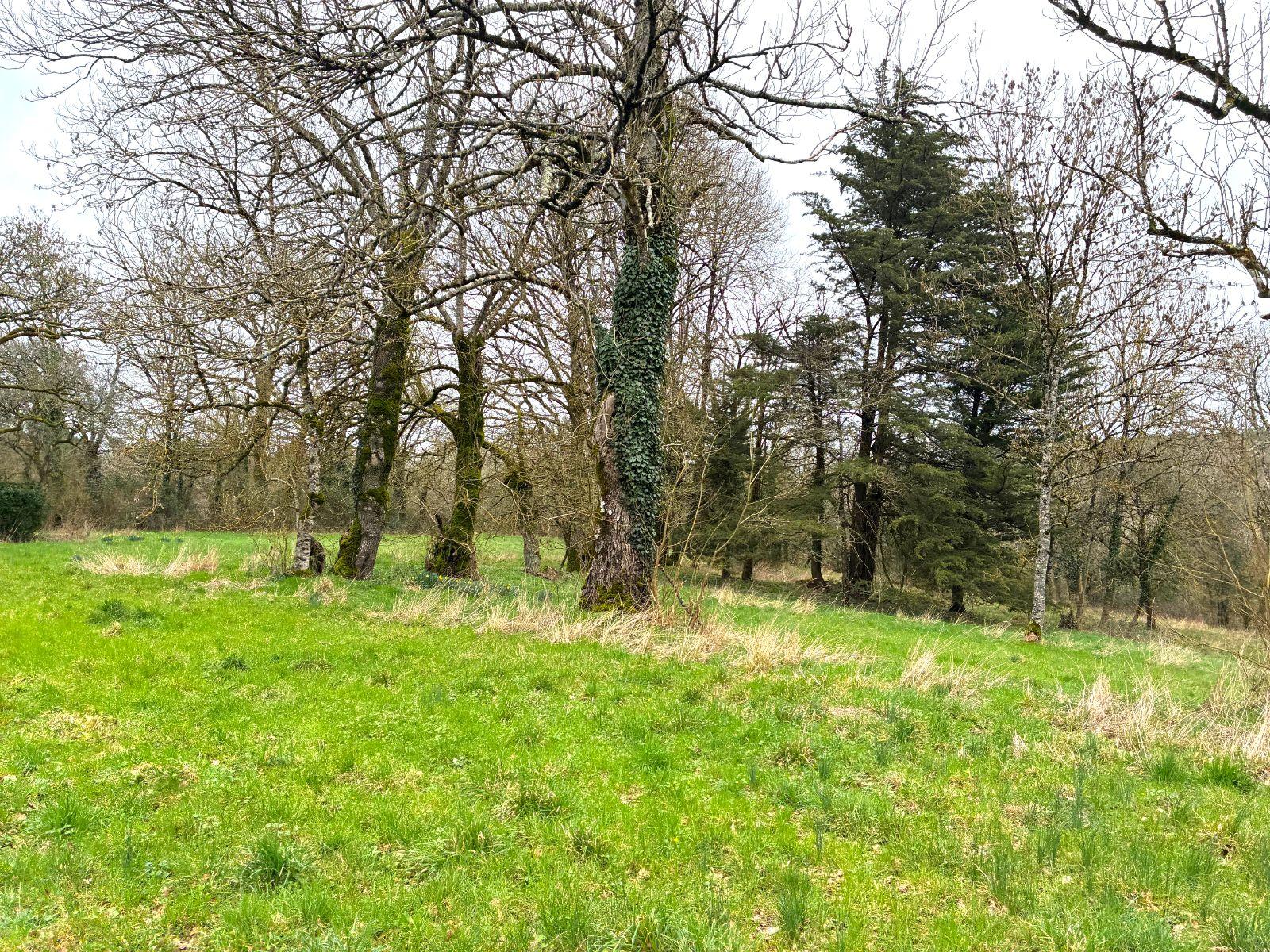 w17708275769167912_1771600136371