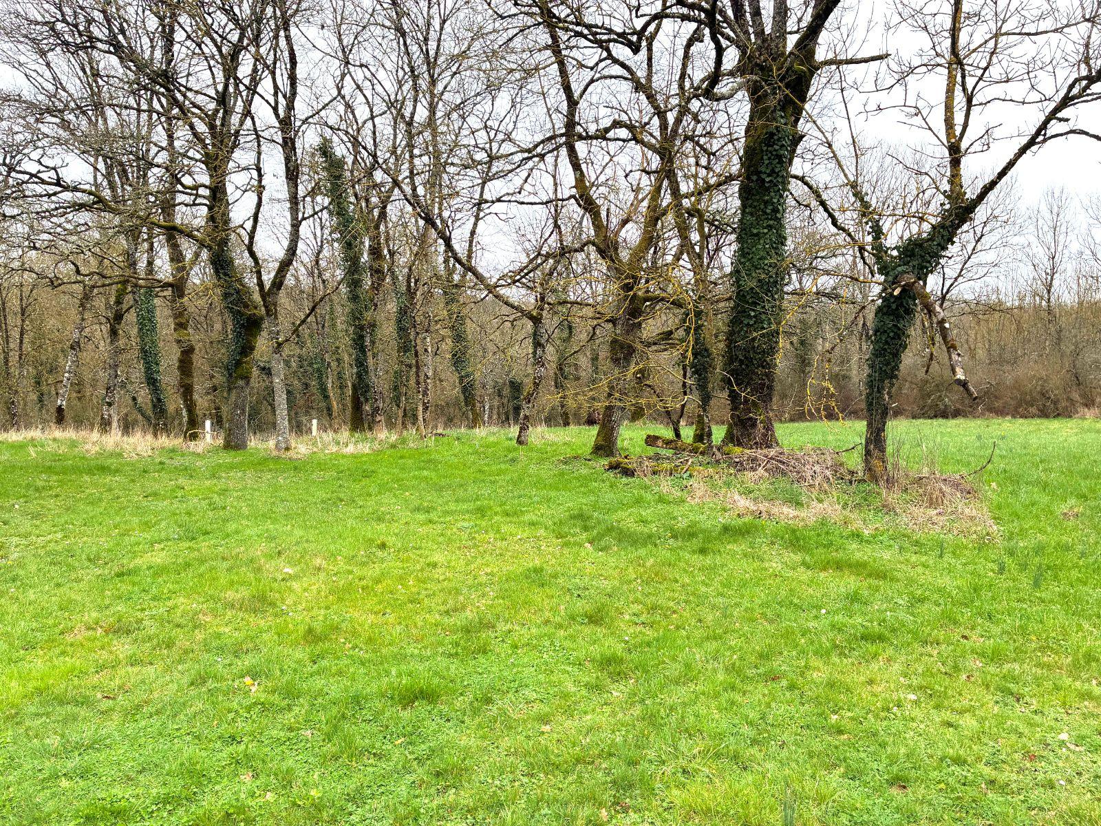 w17708275769167912_1771600137390