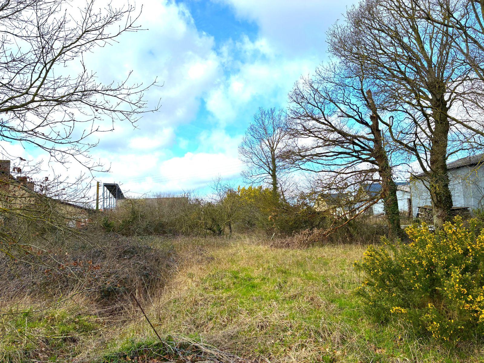 w17719299302114907_1771930331827