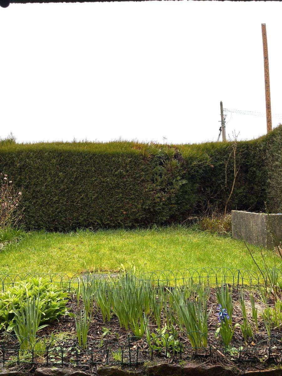 w17719309573531303_1771931862175